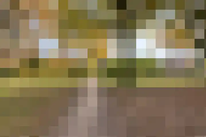 Sweelincklaan 2 Waalre thumbnail 27
