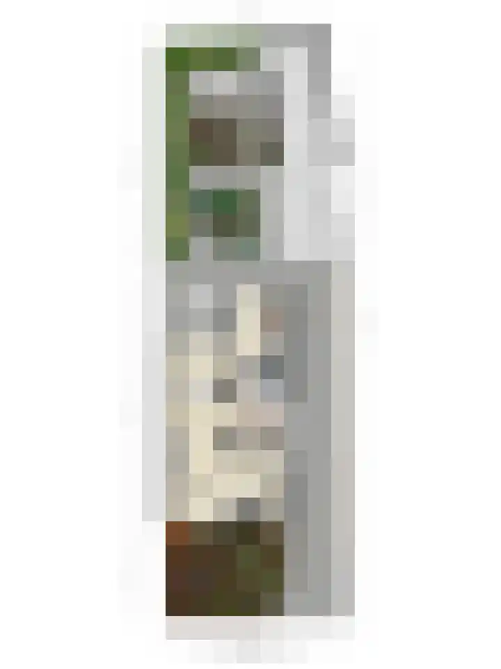 Sweelincklaan 2 Waalre thumbnail 32