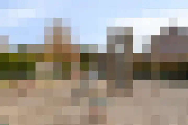 Sweelincklaan 2 Waalre thumbnail 4