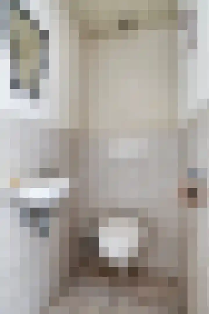 Sweelincklaan 2 Waalre thumbnail 6