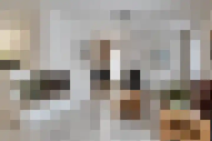 Sweelincklaan 2 Waalre thumbnail 7