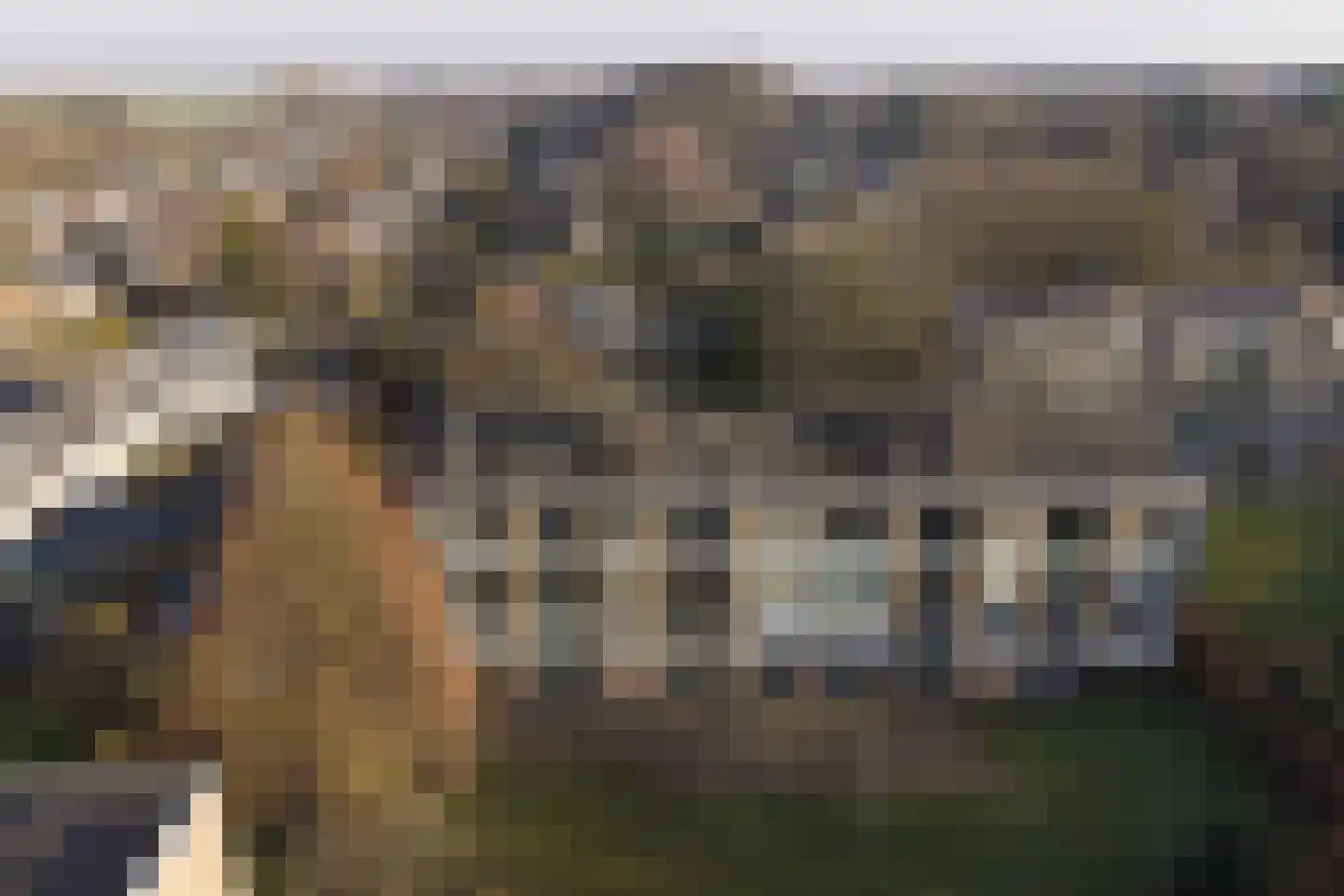 Sweelincklaan 21 Baarn thumbnail 23