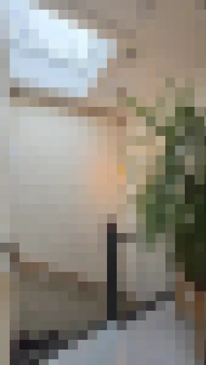 Sweelincklaan 21 Doorwerth thumbnail 21