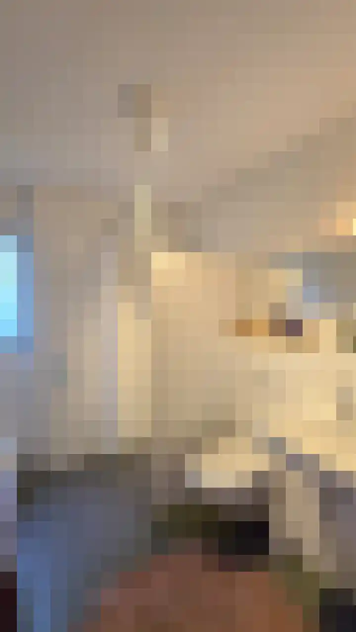 Sweelincklaan 21 Doorwerth thumbnail 27