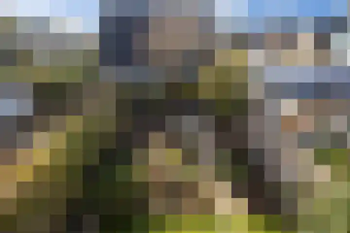 Sweelincklaan 24 Boxtel thumbnail 28