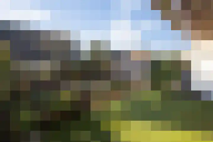 Sweelincklaan 24 Boxtel thumbnail 33