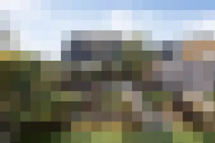 Sweelincklaan 24 Boxtel thumbnail 34