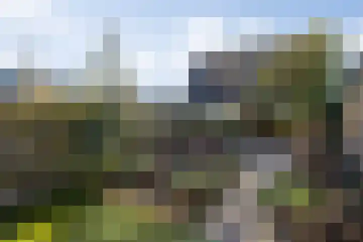 Sweelincklaan 24 Boxtel thumbnail 35