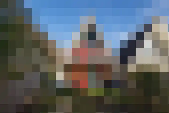 Sweelincklaan 24 Boxtel thumbnail 36