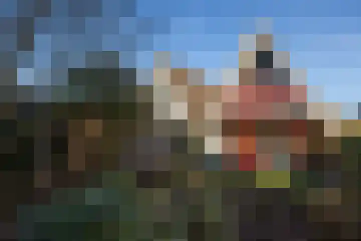 Sweelincklaan 24 Boxtel thumbnail 37