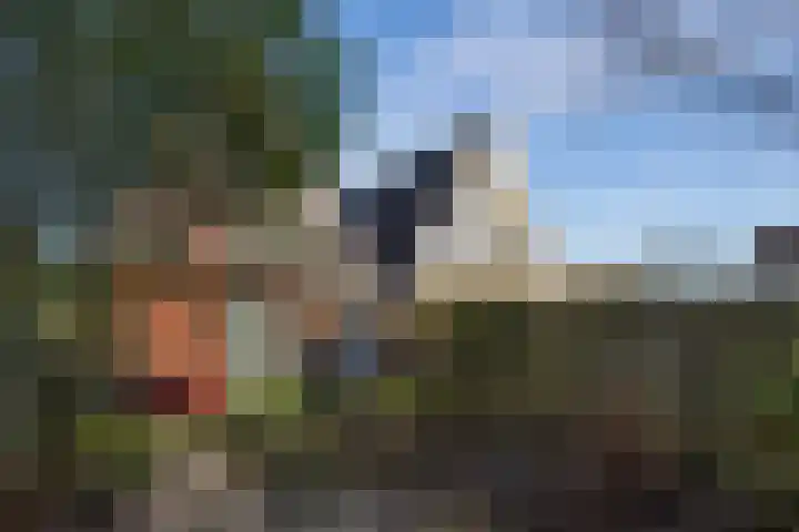 Sweelincklaan 24 Boxtel thumbnail 38