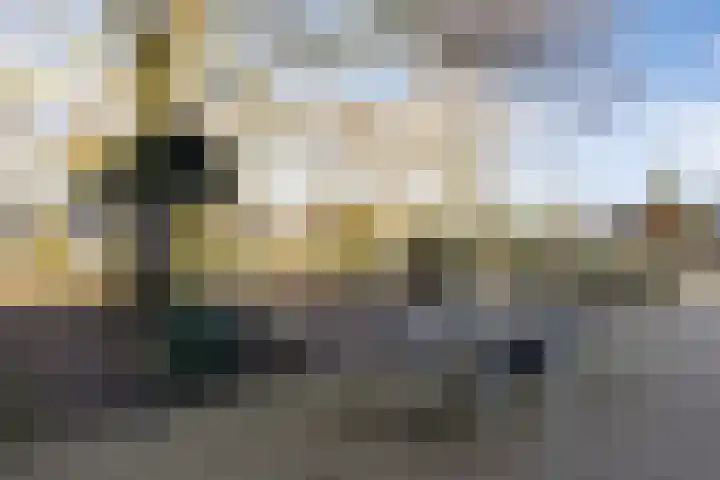 Sweelincklaan 24 Boxtel thumbnail 43