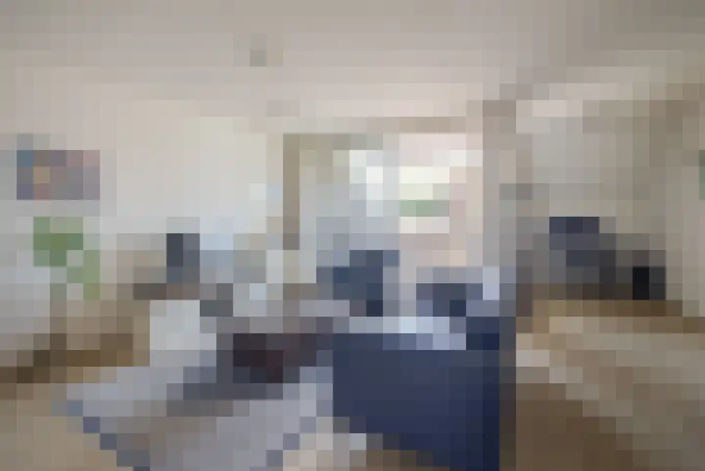 Sweelincklaan 25 Rhoon thumbnail 10