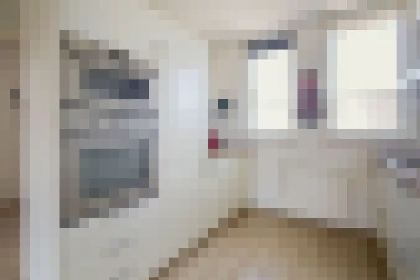 Sweelincklaan 25 Rhoon thumbnail 14