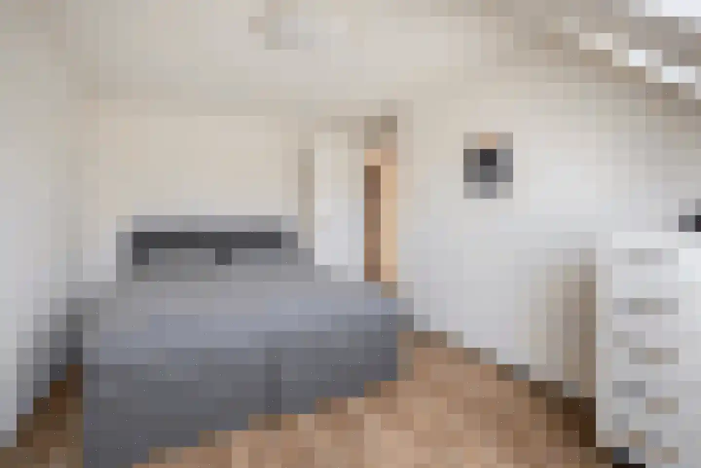 Sweelincklaan 25 Rhoon thumbnail 15