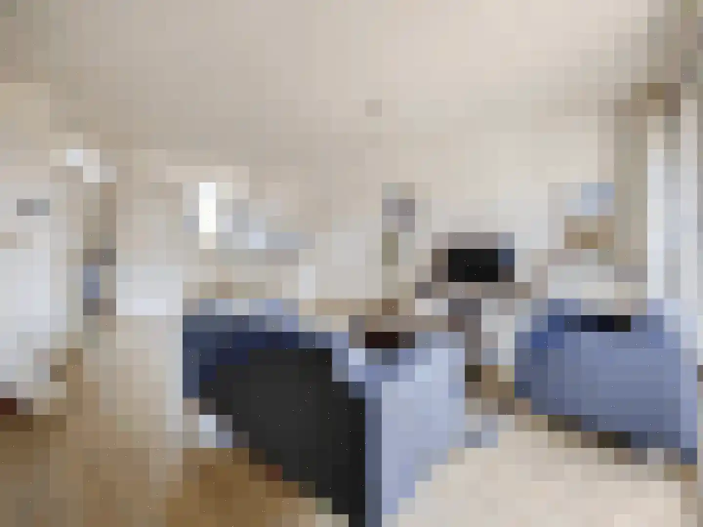 Sweelincklaan 25 Rhoon thumbnail 9