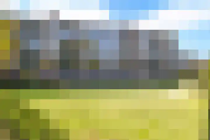 Sweelincklaan 27 Baarn thumbnail 16