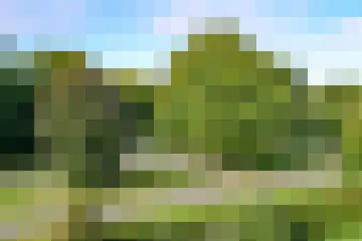 Sweelincklaan 27 Baarn thumbnail 6