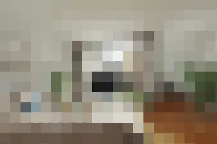 Sweelincklaan 27 Rhoon thumbnail 11