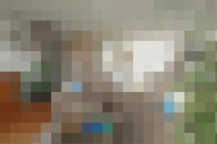 Sweelincklaan 27 Rhoon thumbnail 14