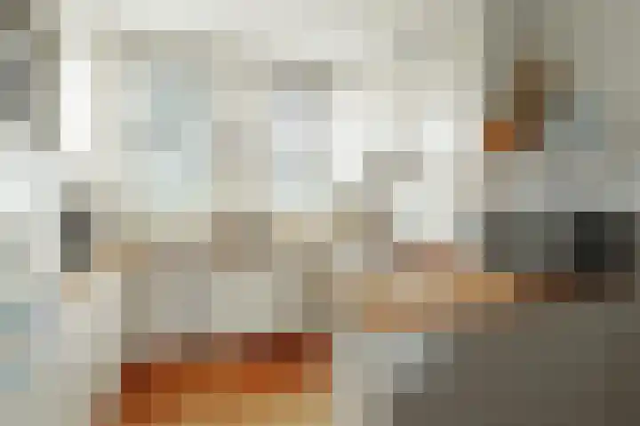 Sweelincklaan 27 Rhoon thumbnail 17