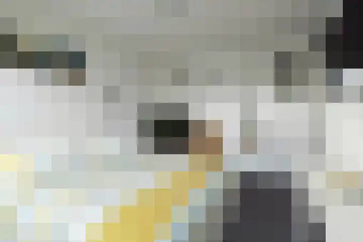 Sweelincklaan 27 Rhoon thumbnail 21