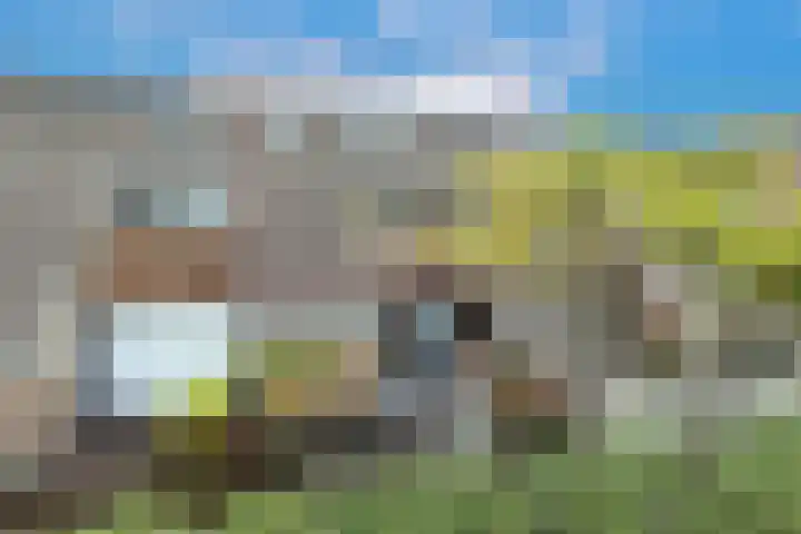 Sweelincklaan 27 Rhoon thumbnail 30