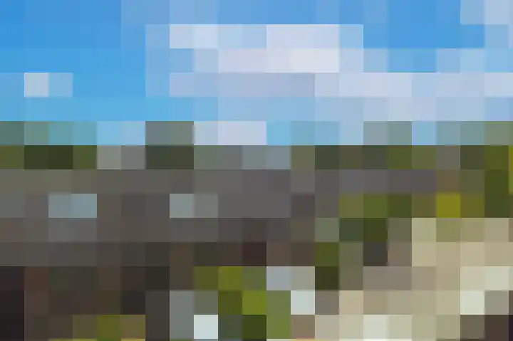 Sweelincklaan 27 Rhoon thumbnail 32