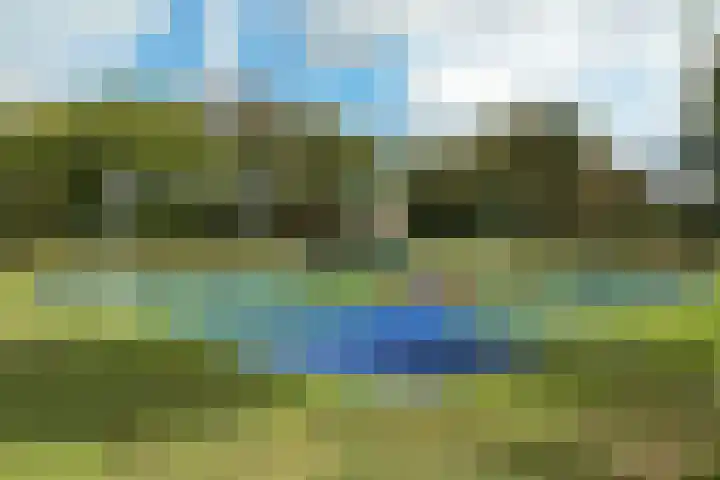 Sweelincklaan 27 Rhoon thumbnail 34