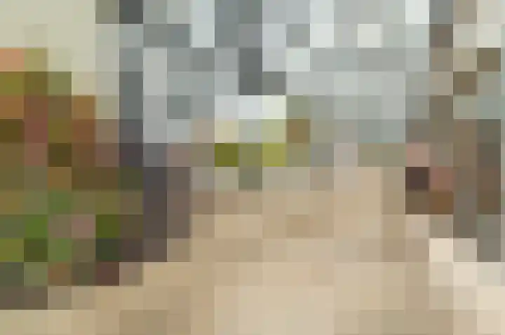 Sweelincklaan 27 Rhoon thumbnail 4
