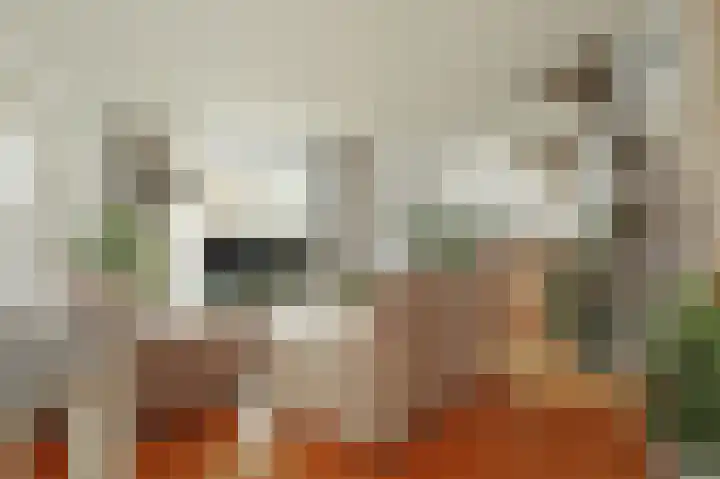 Sweelincklaan 27 Rhoon thumbnail 8