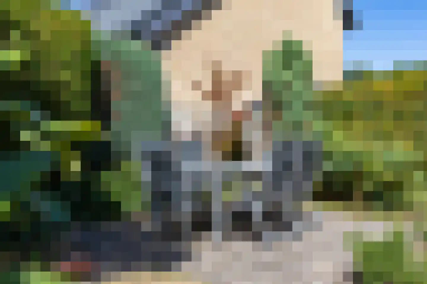 Sweelincklaan 29 Waalre thumbnail 33