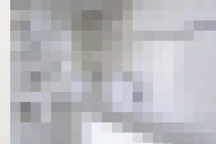 Sweelincklaan 31 Groningen thumbnail 21