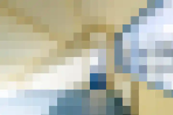 Sweelincklaan 31 Groningen thumbnail 28