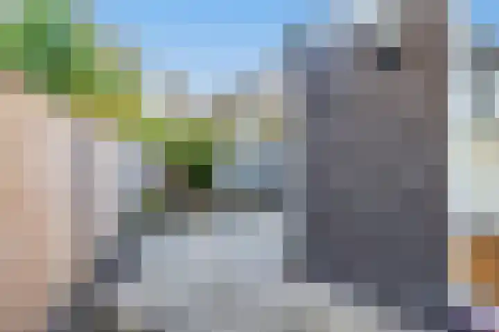 Sweelincklaan 31 Groningen thumbnail 31