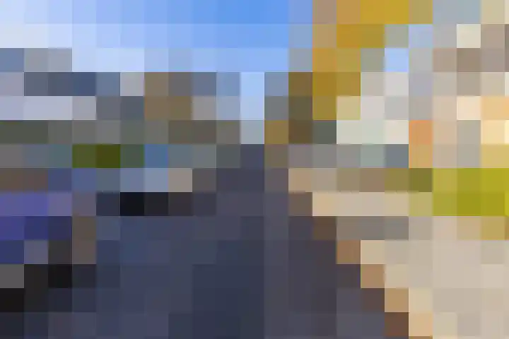 Sweelincklaan 31 Groningen thumbnail 34