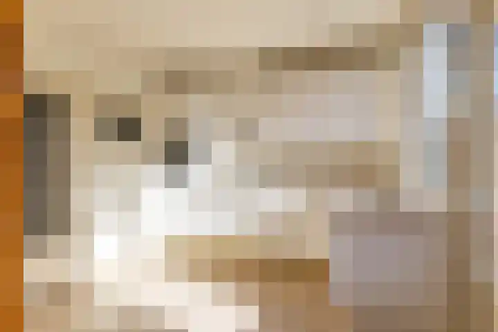 Sweelincklaan 31 Groningen thumbnail 8