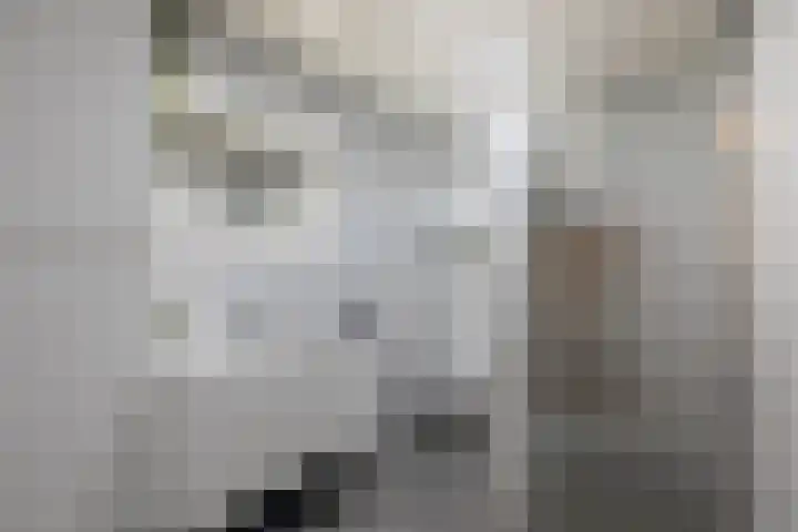 Sweelincklaan 33 Almelo thumbnail 17