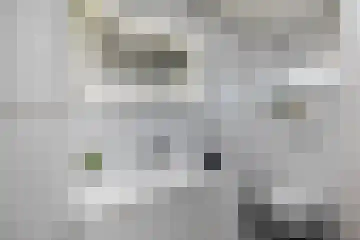 Sweelincklaan 33 Almelo thumbnail 18