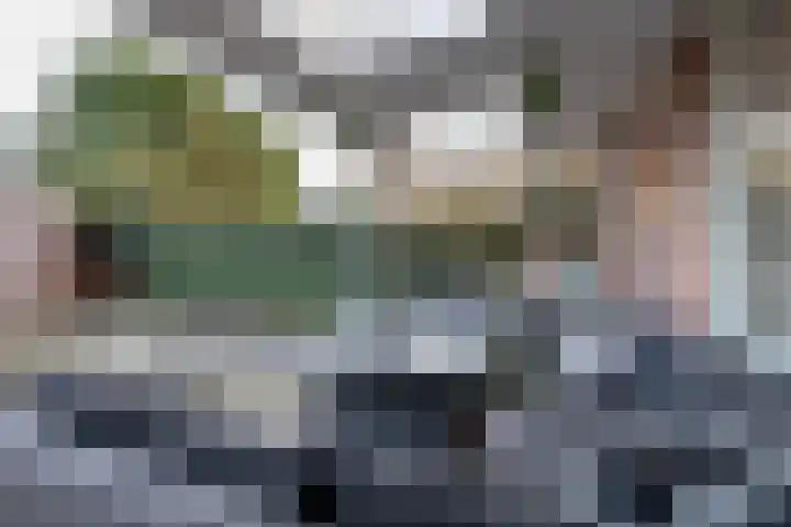 Sweelincklaan 33 Almelo thumbnail 23