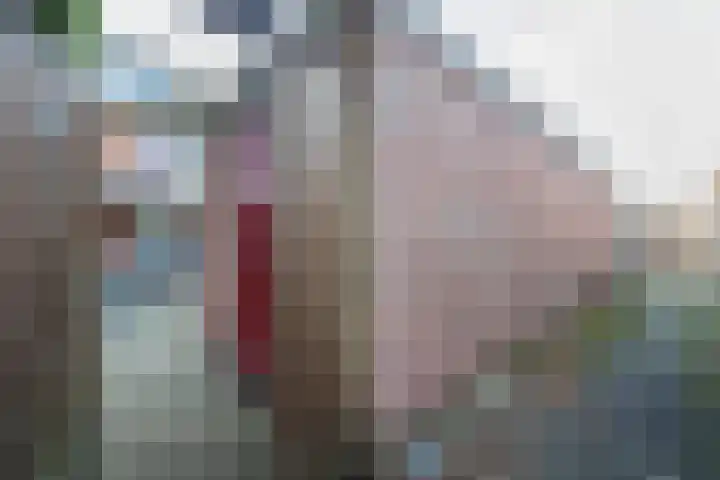 Sweelincklaan 33 Almelo thumbnail 24