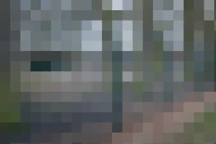 Sweelincklaan 33 Almelo thumbnail 26