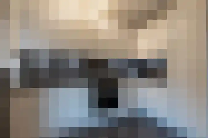 Sweelincklaan 33 Almelo thumbnail 4