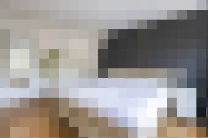 Sweelincklaan 35 Groningen thumbnail 31