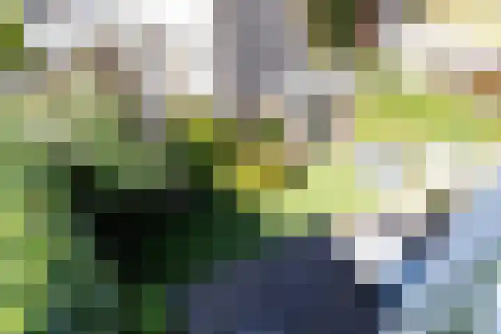 Sweelincklaan 35 Groningen thumbnail 34