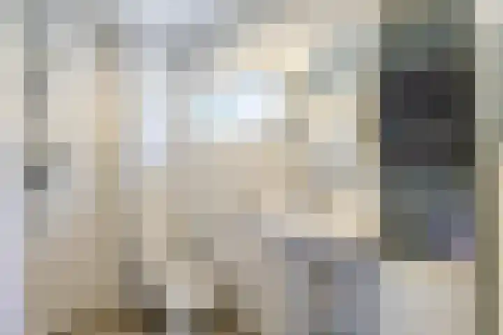 Sweelincklaan 35 Groningen thumbnail 35