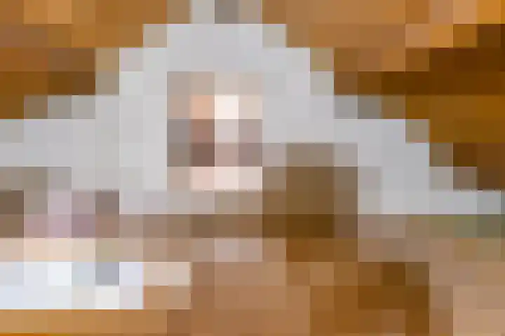 Sweelincklaan 35 Groningen thumbnail 38