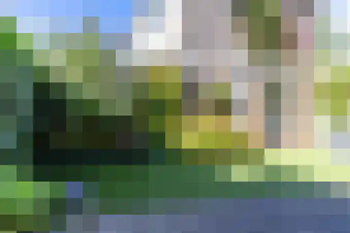 Sweelincklaan 35 Groningen thumbnail 40