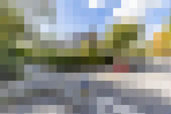 Sweelincklaan 35 Groningen thumbnail 5