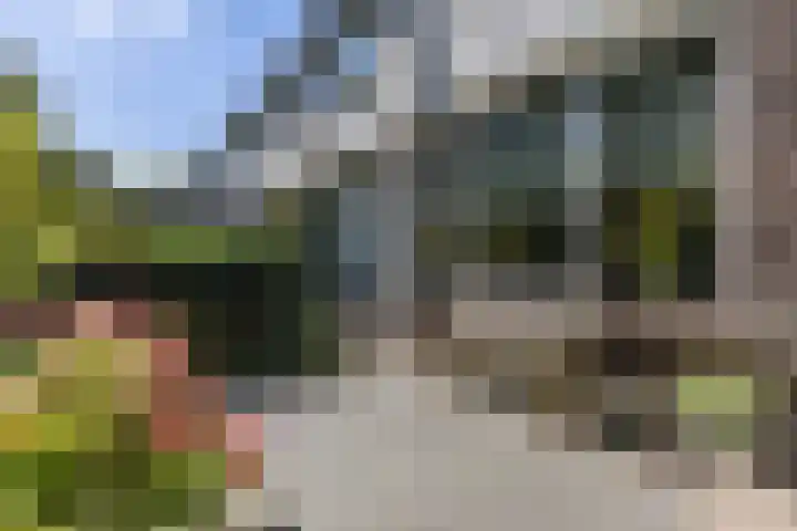 Sweelincklaan 35 Groningen thumbnail 7